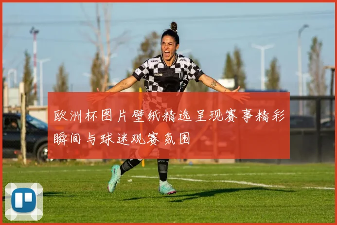 欧洲杯图片壁纸精选呈现赛事精彩瞬间与球迷观赛氛围
