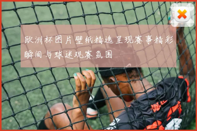 欧洲杯图片壁纸精选呈现赛事精彩瞬间与球迷观赛氛围