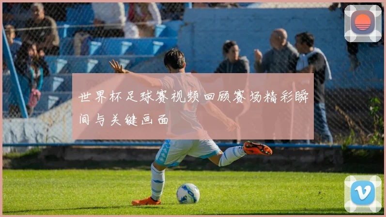 世界杯足球赛视频回顾赛场精彩瞬间与关键画面