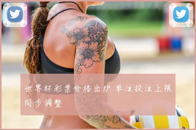 世界杯彩票价格出炉 单注投注上限同步调整