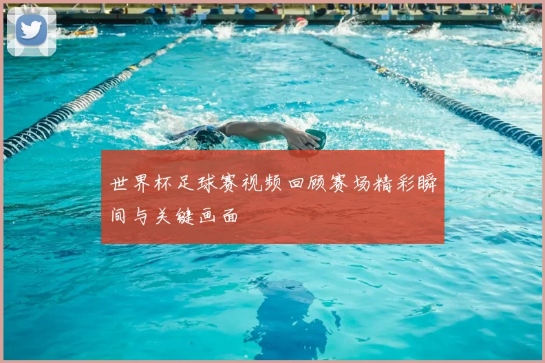 世界杯足球赛视频回顾赛场精彩瞬间与关键画面