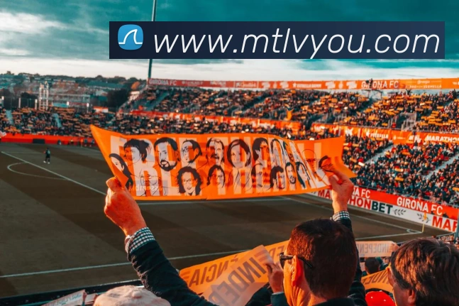 多媒体互动体验